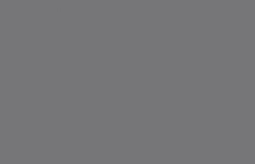 Silver 24.2x70